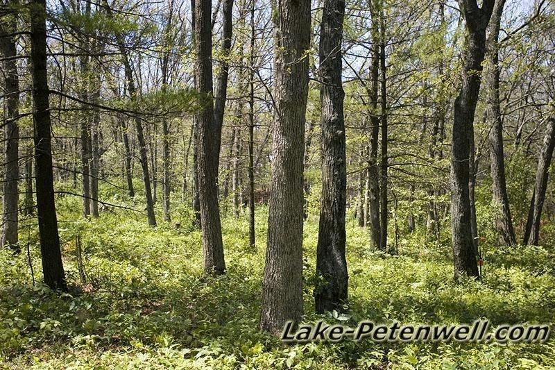 D 800X533 Petenwell Landing D3Z9974 D 800X533 Petenwell Landing D3Z9974