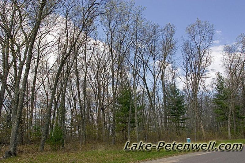 D 800X533 Petenwell Landing Road Frontage2 D 800X533 Petenwell Landing Road Frontage2