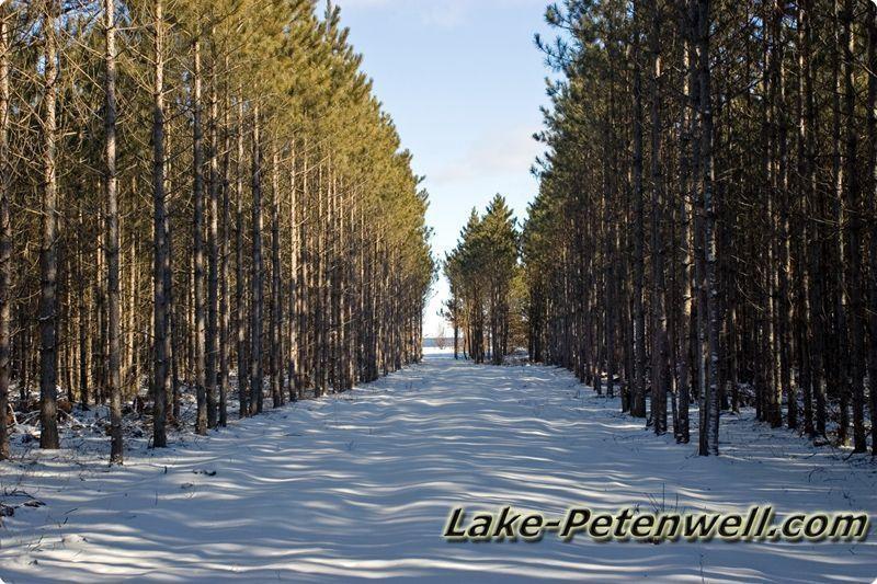 Grand View Shores Lake Petenwell